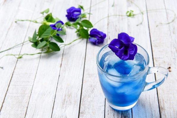 butterfly-pea-flowers