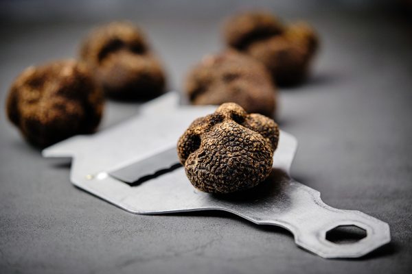 Stock photo of fresh italian black truffle in a truffle mill.